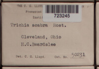 Image Associated With the Occurence